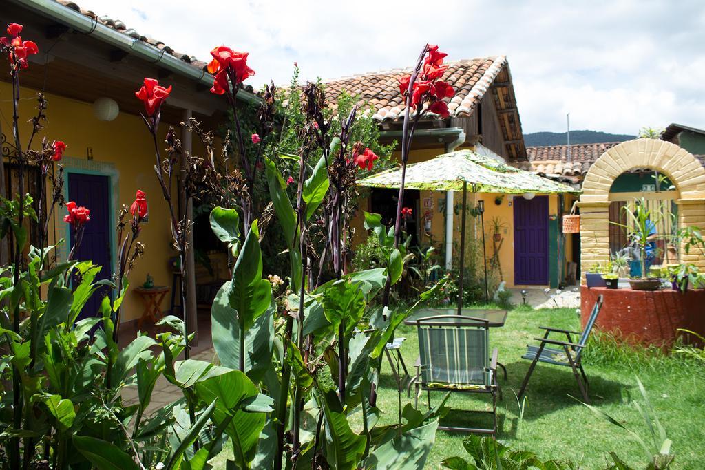 Bed and Breakfast Jaguar You à San Cristóbal de Las Casas Extérieur photo